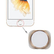 Home Button for iPhone 6s (Gold) - iPhone 6S/6S Plus Parts by PMC TechLife | Online Shopping South Africa | PMC TechLife