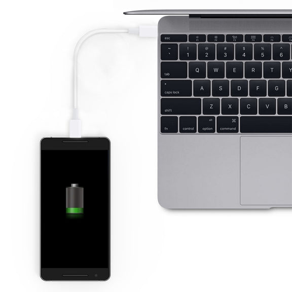 USB-C / Type-C to USB-C / Type-C PD Fast Charging & Sync Data Cable, Cable Length: 14cm(White)