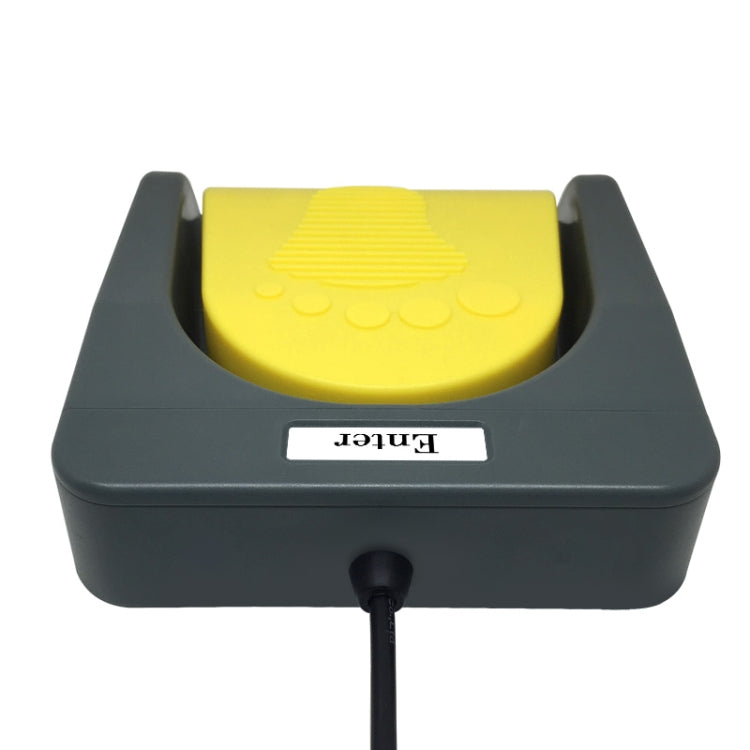 Pcsensor USB Foot Pedal Control Switch Keyboard Adapter For Computer, Model:FS2016