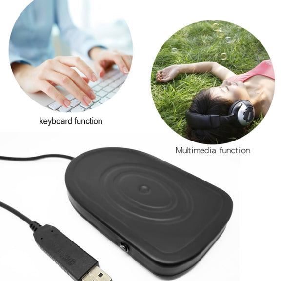 Pcsensor USB Foot Pedal Control Switch Keyboard Adapter For Computer, Model:FS2016
