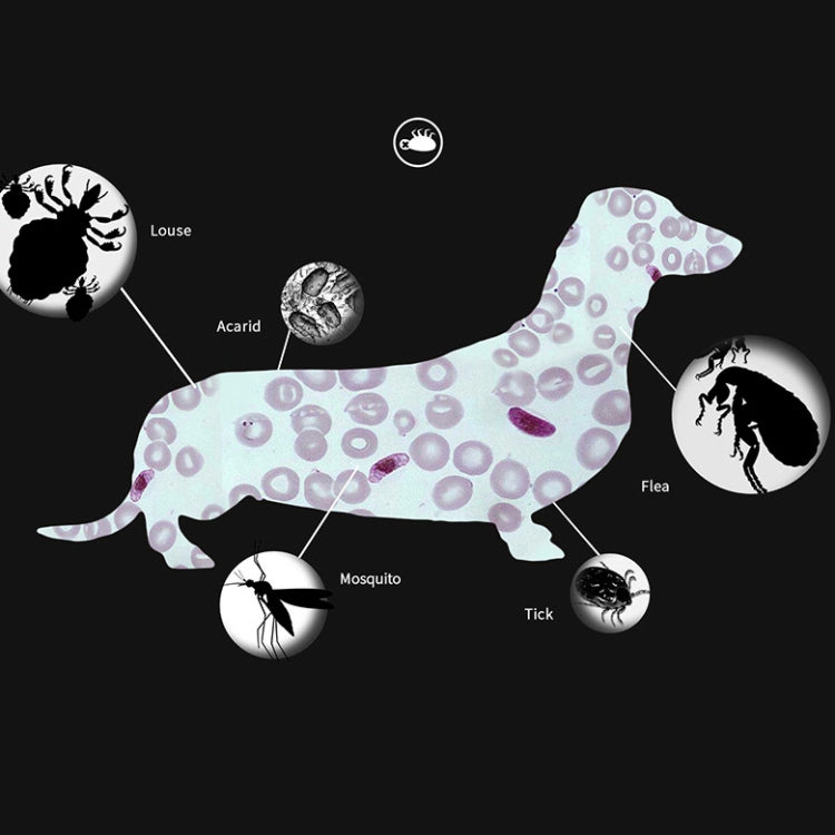 Pet Flea & Anti-Lice Collar Pet In Vitro Insect Repellent Ring, Size:Large Dog/70cm