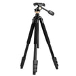 Q338 4-Section Folding Legs Live Broadcast Aluminum Alloy Tripod Mount With Three-dimensional Head - Tripods by PMC TechLife | Online Shopping South Africa | PMC TechLife