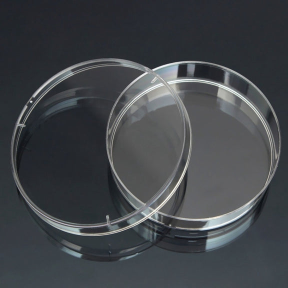 10 PCS Polystyrene Sterile Petri Dishes Bacteria Dish Laboratory Biological Scientific Lab Supplies, Size:60mm