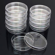 10 PCS Polystyrene Sterile Petri Dishes Bacteria Dish Laboratory Biological Scientific Lab Supplies, Size:60mm