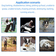 L-818 500M Dog Training Device Rechargeable Remote Control Pet Bark Stopper