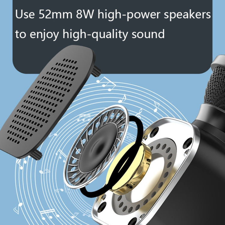 DS813 Live Wireless Bluetooth Microphone(Black)