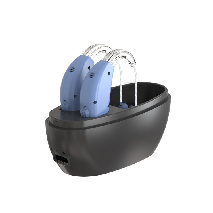 Elderly Use Can Charge Sound Amplifier Hearing Aid, Specification: US Plug(Blue Double Machine+Black Charging Bin)