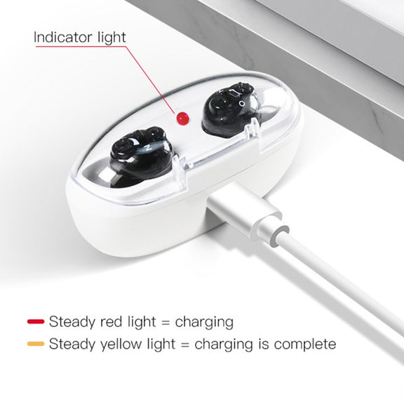 Magnetic Charge Dual-unit Sound Collector, Specification: EU Plug(Black)